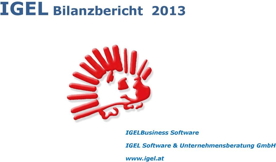 IGEL Software &