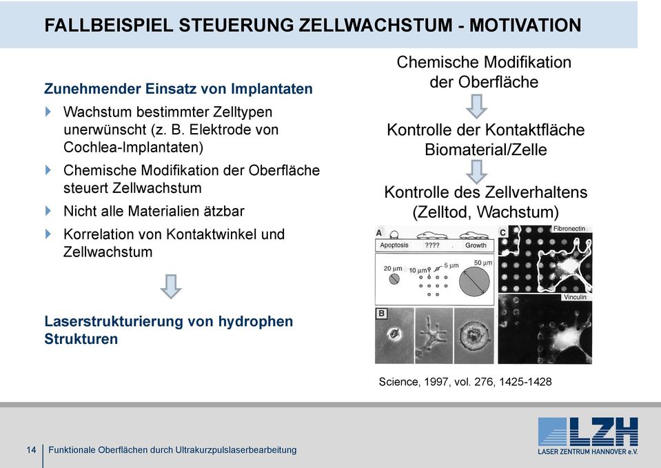 Korrelation von Kontaktwinkel und Zellwachstum Chemische Modifikation der Oberfläche Kontrolle der Kontaktfläche