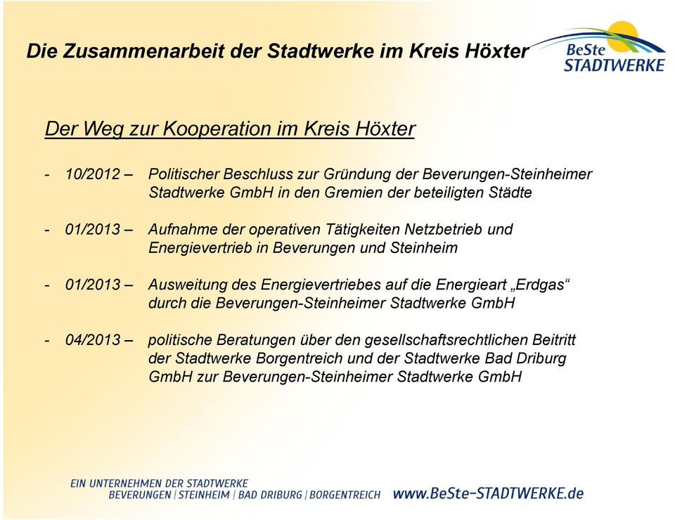 Ausweitung des Energievertriebes auf die Energieart Erdgas durch die Beverungen-Steinheimer Stadtwerke GmbH - 04/2013 politische Beratungen