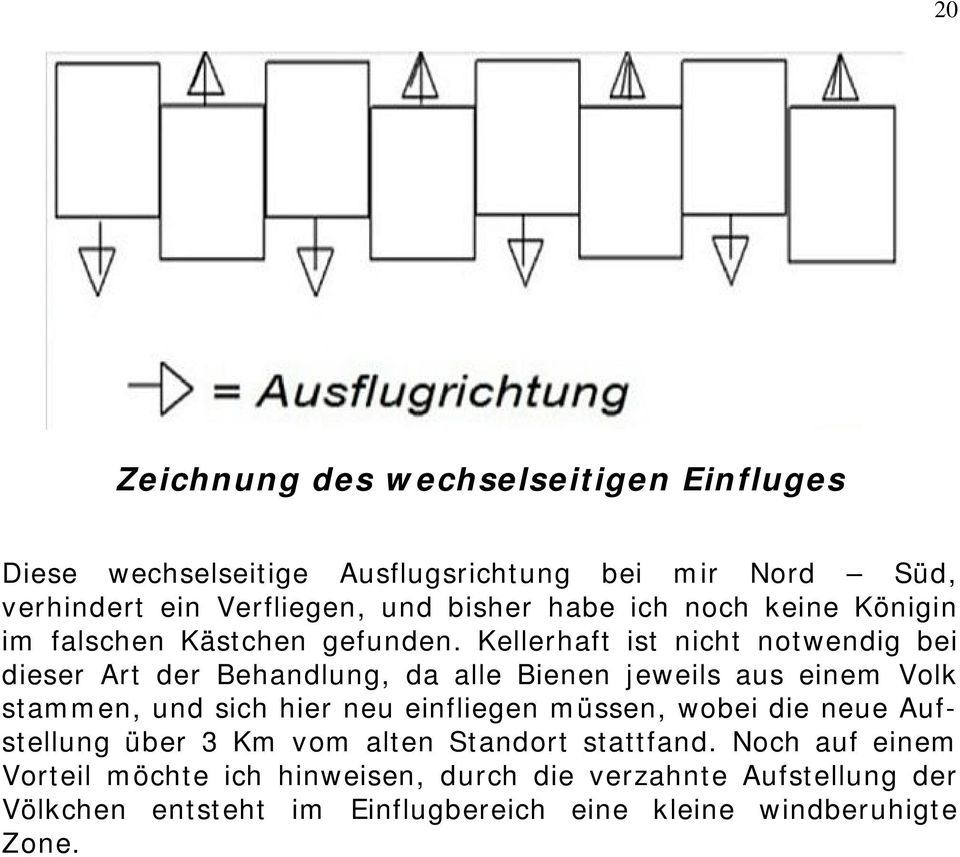 Kellerhaft ist nicht notwendig bei dieser Art der Behandlung, da alle Bienen jeweils aus einem Volk stammen, und sich hier neu einfliegen