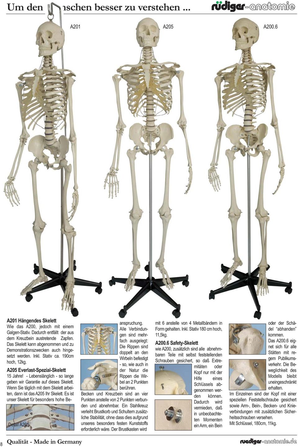 - Lebenslänglich - so lange geben wir Garantie auf dieses Skelett. Wenn Sie täglich mit dem Skelett arbeiten, dann ist das A205 Ihr Skelett. Es ist unser Skelett für besonders hohe Beanspruchung.