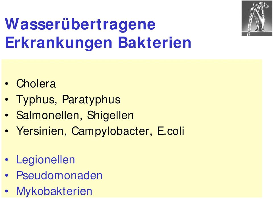Shigellen Yersinien, Campylobacter, E.