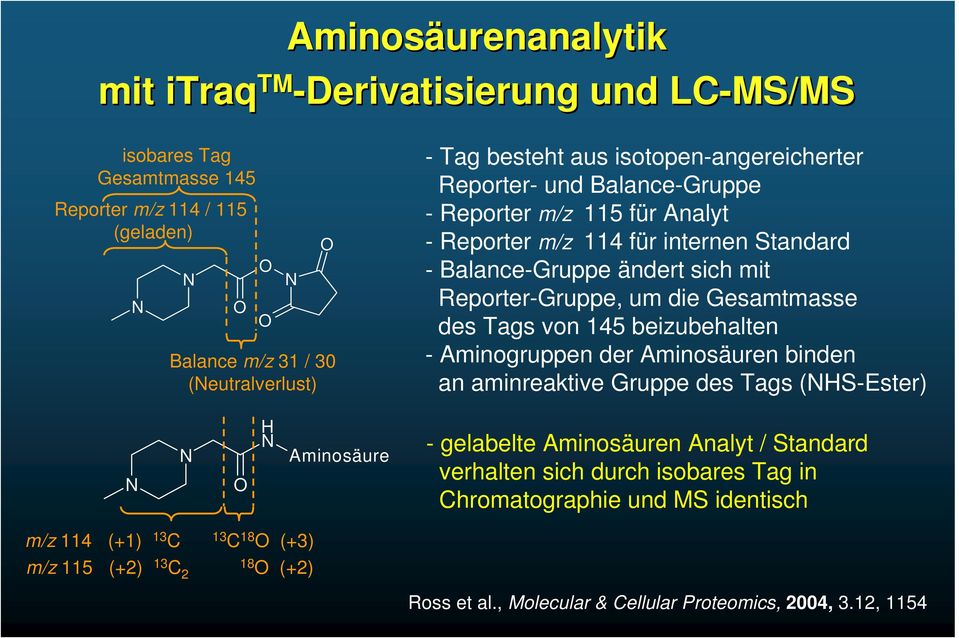 Gesamtmasse des Tags von 145 beizubehalten - Aminogruppen der Aminosäuren binden an aminreaktive Gruppe des Tags (NHS-Ester) N N O H N Aminosäure - gelabelte Aminosäuren Analyt / Standard
