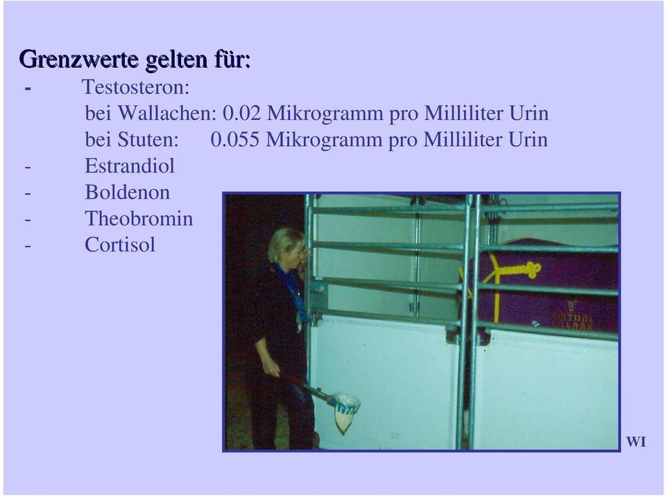 02 Mikrogramm pro Milliliter Urin bei Stuten: 0.