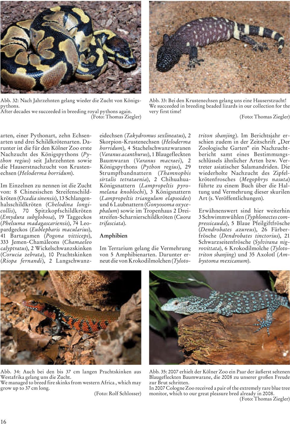 (Foto: Thomas Ziegler) arten, einer Pythonart, zehn Echsenarten und drei Schildkröten arten.