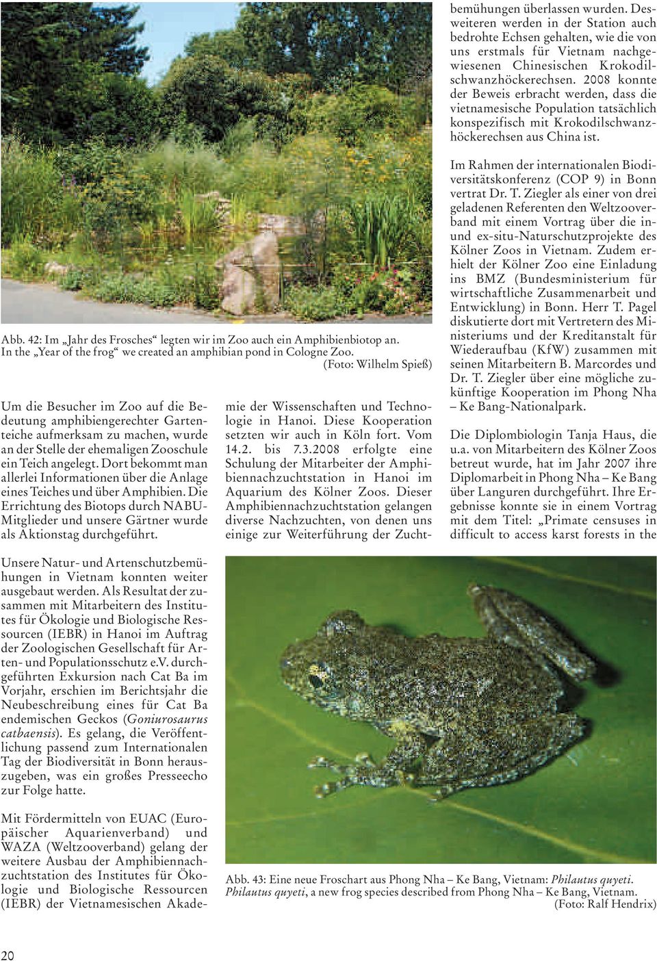 42: Im Jahr des Frosches legten wir im Zoo auch ein Amphibienbiotop an. In the Year of the frog we created an amphibian pond in Cologne Zoo.
