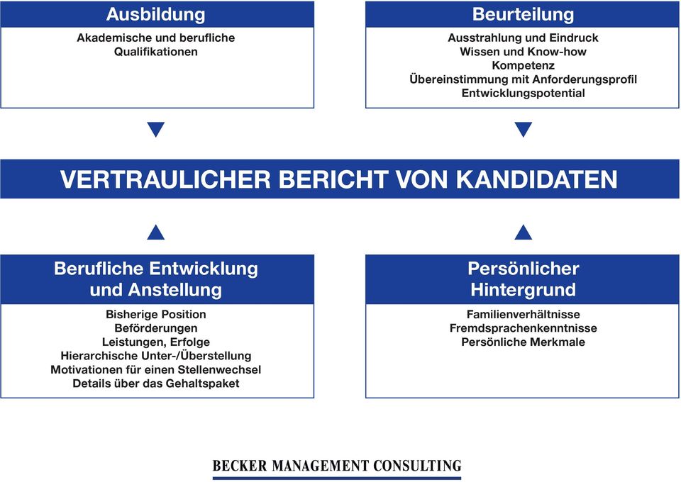 Anstellung Bisherige Position Beförderungen Leistungen, Erfolge Hierarchische Unter-/Überstellung Motivationen für einen