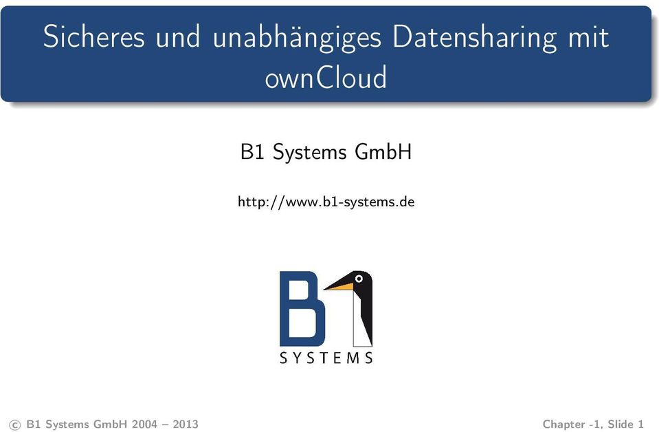 Systems GmbH http://www.b1-systems.