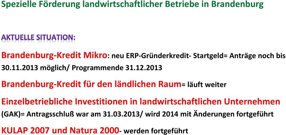 2013 Brandenburg-Kredit für den ländlichen Raum= läuft weiter Einzelbetriebliche Investitionen in
