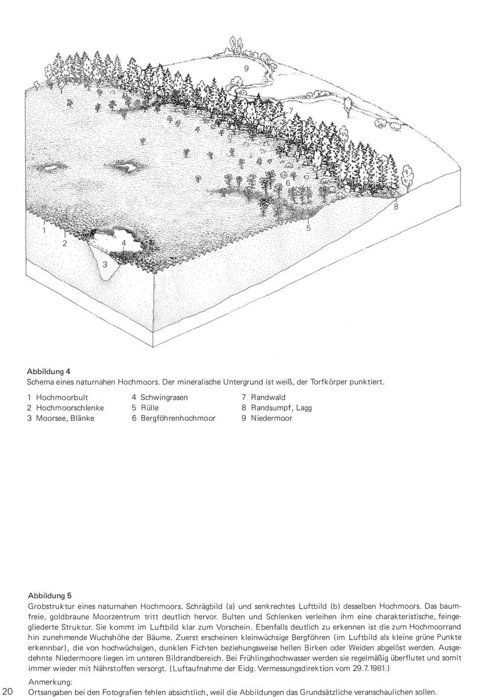 Schrägbild (a) und senkrechtes Luftbild (b) desselben Hochmoors. Das baumfreie, goldbraune Moorzentrum tritt deutlich hervor.