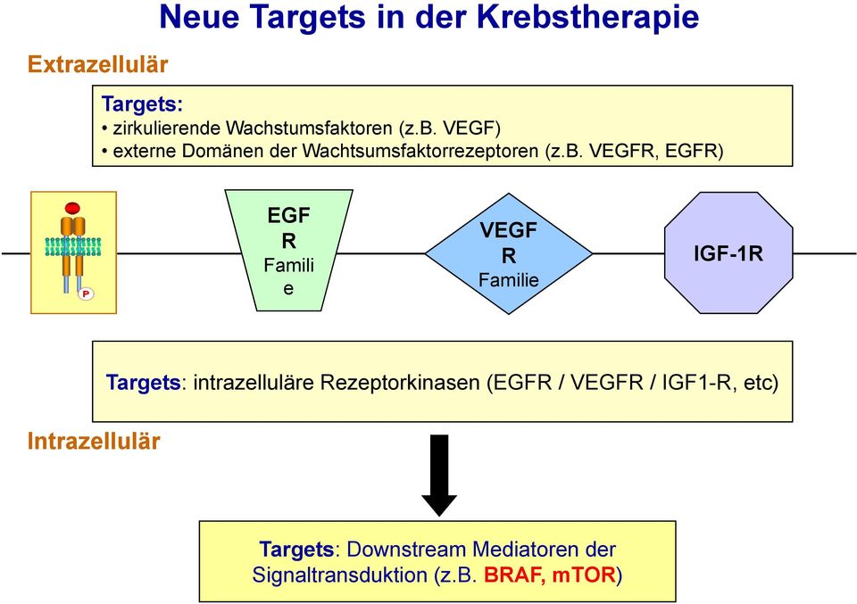 e VEGF R Familie IGF-1R Intrazellulär Targets: intrazelluläre Rezeptorkinasen (EGFR /