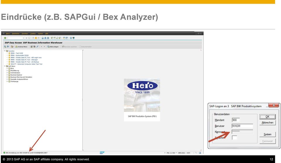 2013 SAP AG or an SAP
