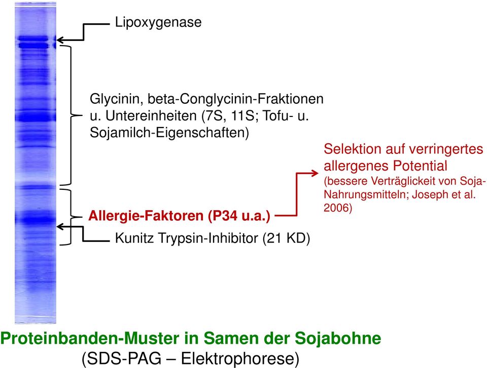 a.) Kunitz Trypsin-Inhibitor (21 KD) (bessere Verträglickeit von Soja- Nahrungsmitteln; Joseph et