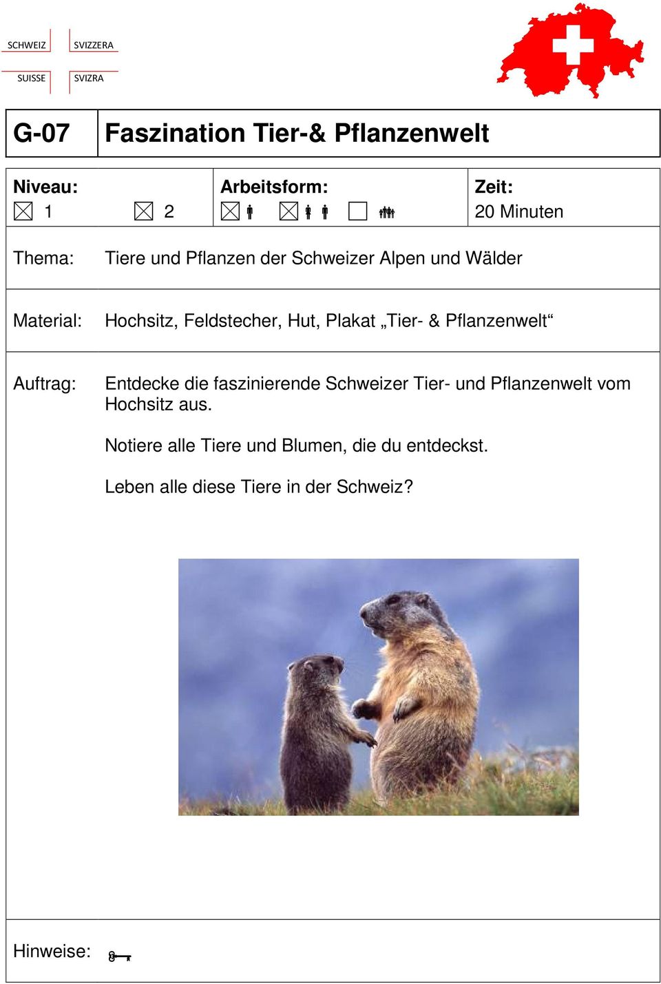 die faszinierende Schweizer Tier- und Pflanzenwelt vom Hochsitz aus.