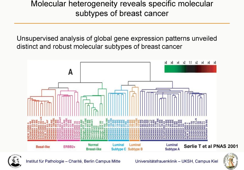global gene expression patterns unveiled distinct and