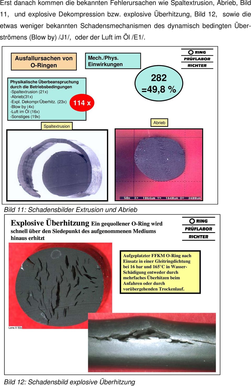 Physikalische Überbeanspruchung durch die Betriebsbedingungen -Spaltextrusion (21x) -Abrieb(31x) -Expl. Dekompr/Überhitz.