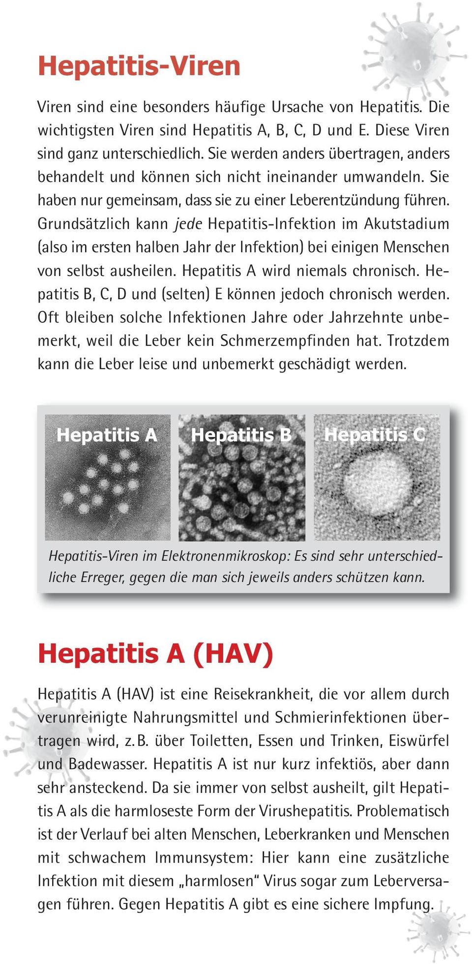 Grundsätzlich kann jede Hepatitis-Infektion im Akutstadium (also im ersten halben Jahr der Infektion) bei einigen Menschen von selbst ausheilen. Hepatitis A wird niemals chronisch.
