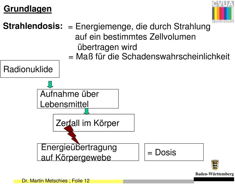 Schadenswahrscheinlichkeit Aufnahme über Lebensmittel Zerfall im