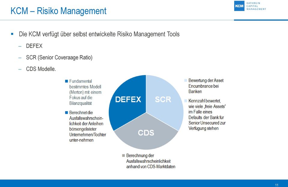 Risiko Management Tools DEFEX SCR