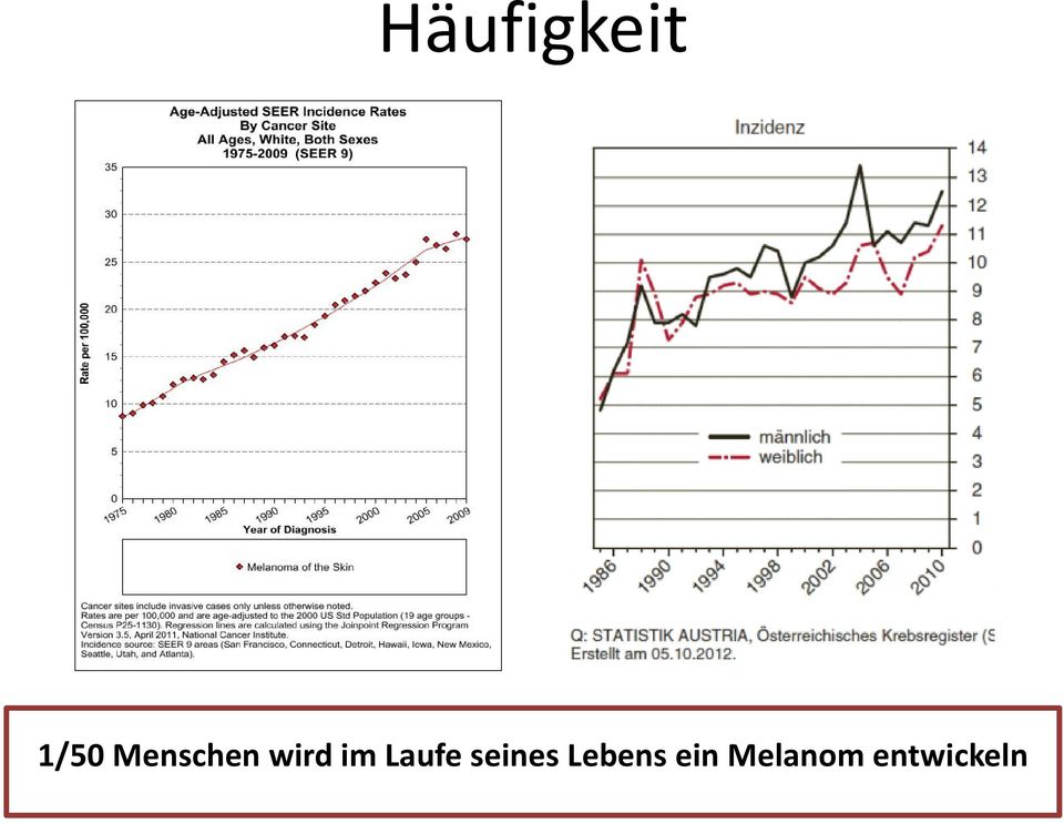 Laufe seines