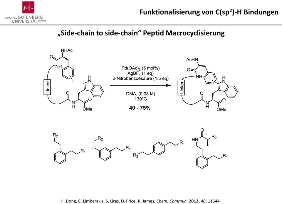 Macrocyclisierung H. Dong, C. Limberakis, S.