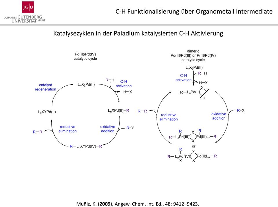 Paladium katalysierten C-H Aktivierung