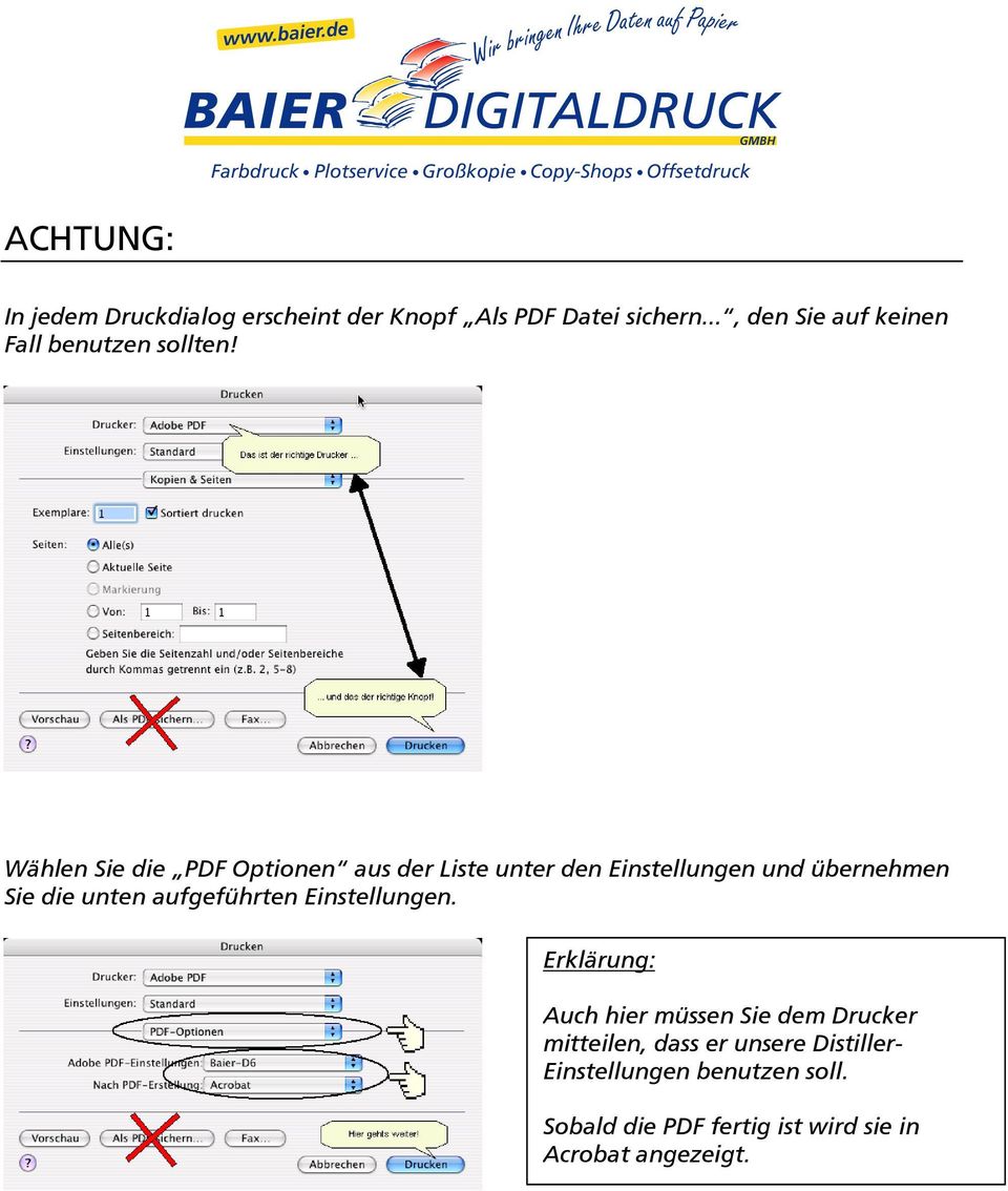 Wählen Sie die PDF Optionen aus der Liste unter den Einstellungen und übernehmen Sie die unten