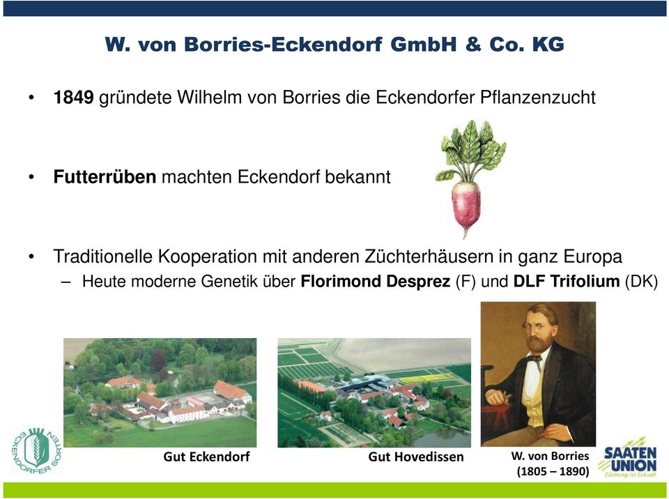 machten Eckendorf bekannt Traditionelle Kooperation mit anderen Züchterhäusern in