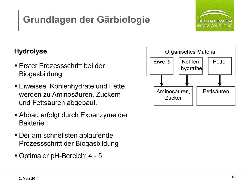 Abbau erfolgt durch Exoenzyme der Bakterien Der am schnellsten ablaufende Prozessschritt der