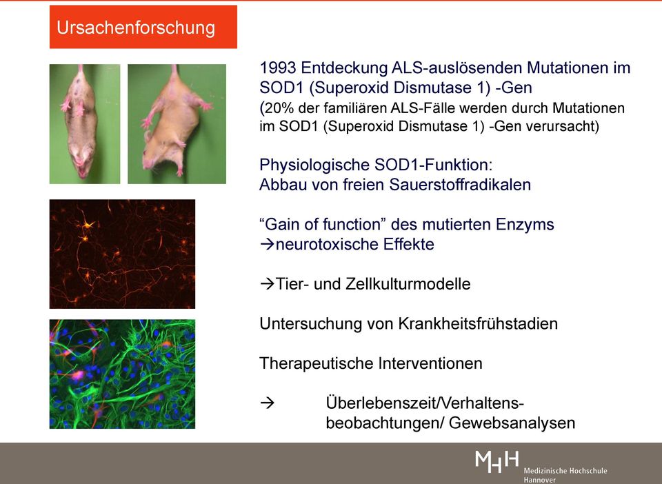 von freien Sauerstoffradikalen Gain of function des mutierten Enzyms neurotoxische Effekte Tier- und Zellkulturmodelle