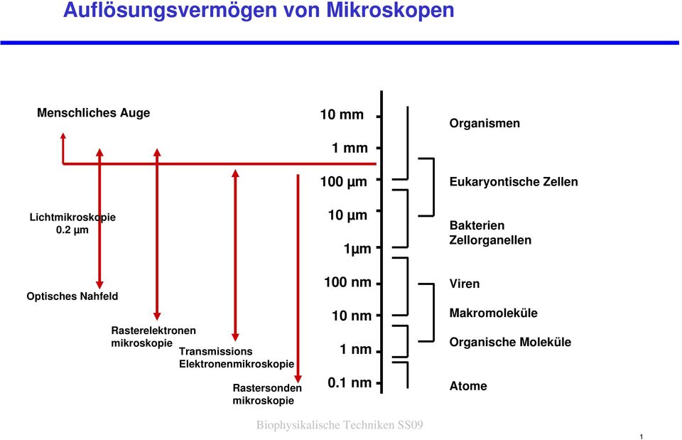 Elektronenmikroskopie Rastersonden mikroskopie 10 mm 1 mm 100 µm 10 µm 1µm 100 nm 10