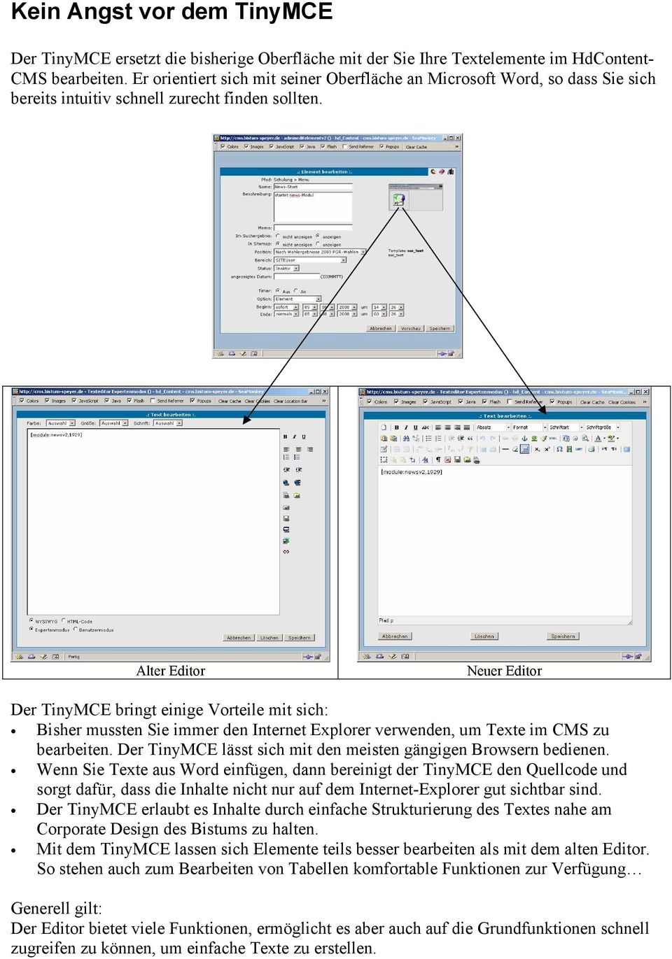 Alter Editor Neuer Editor Der TinyMCE bringt einige Vorteile mit sich: Bisher mussten Sie immer den Internet Explorer verwenden, um Texte im CMS zu bearbeiten.