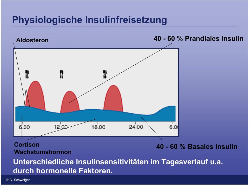 % Basales Insulin Unterschiedliche