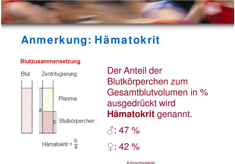 Gesamtblutvolumen in %