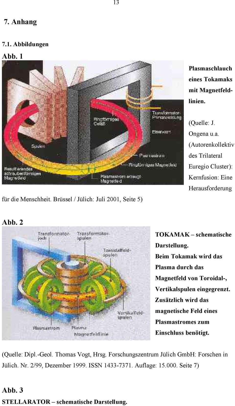 Beim Tokamak wird das Plasma durch das Magnetfeld von Toroidal-, Vertikalspulen eingegrenzt.