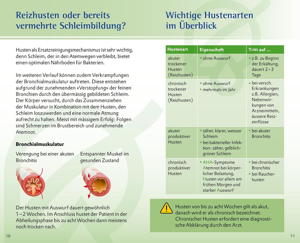 Im weiteren Verlauf können zudem Verkrampfungen der Bronchialmuskulatur auftreten. Diese entstehen aufgrund der zunehmenden «Verstopfung» der feinen Bronchien durch den übermässig gebildeten Schleim.