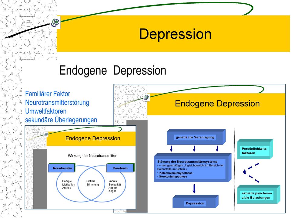 Stimmung Serotonin Impuls Sexualität Appetit Angst Störung der Neurotransmittersysteme ( = mengenmäßiges Ungleichgewicht im