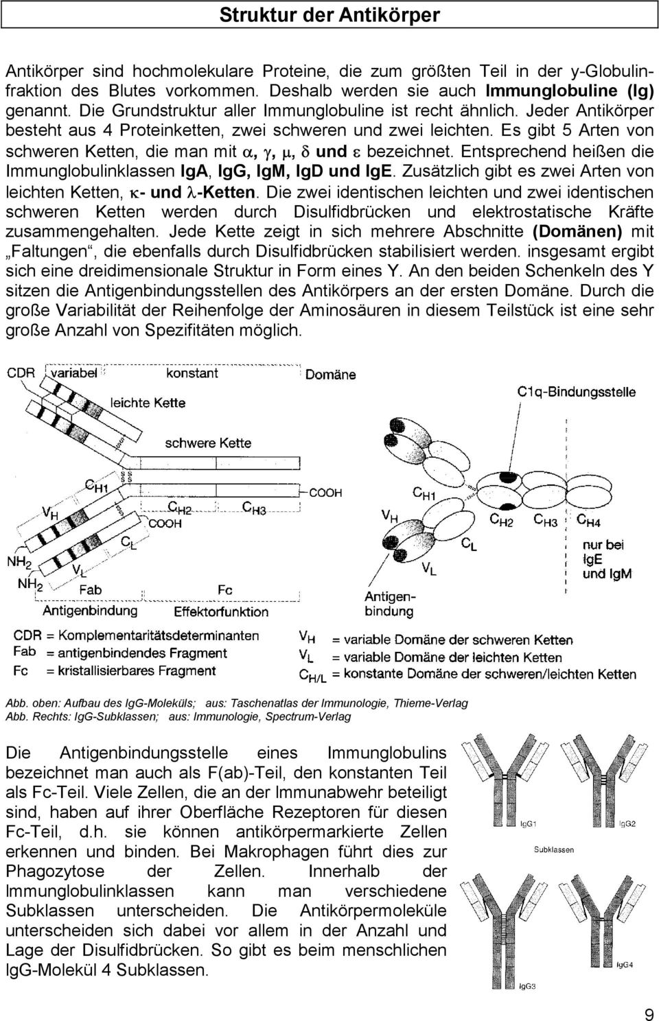 Es gibt 5 Arten von schweren Ketten, die man mit,,, und bezeichnet. Entsprechend heißen die Immunglobulinklassen IgA, IgG, IgM, IgD und IgE.