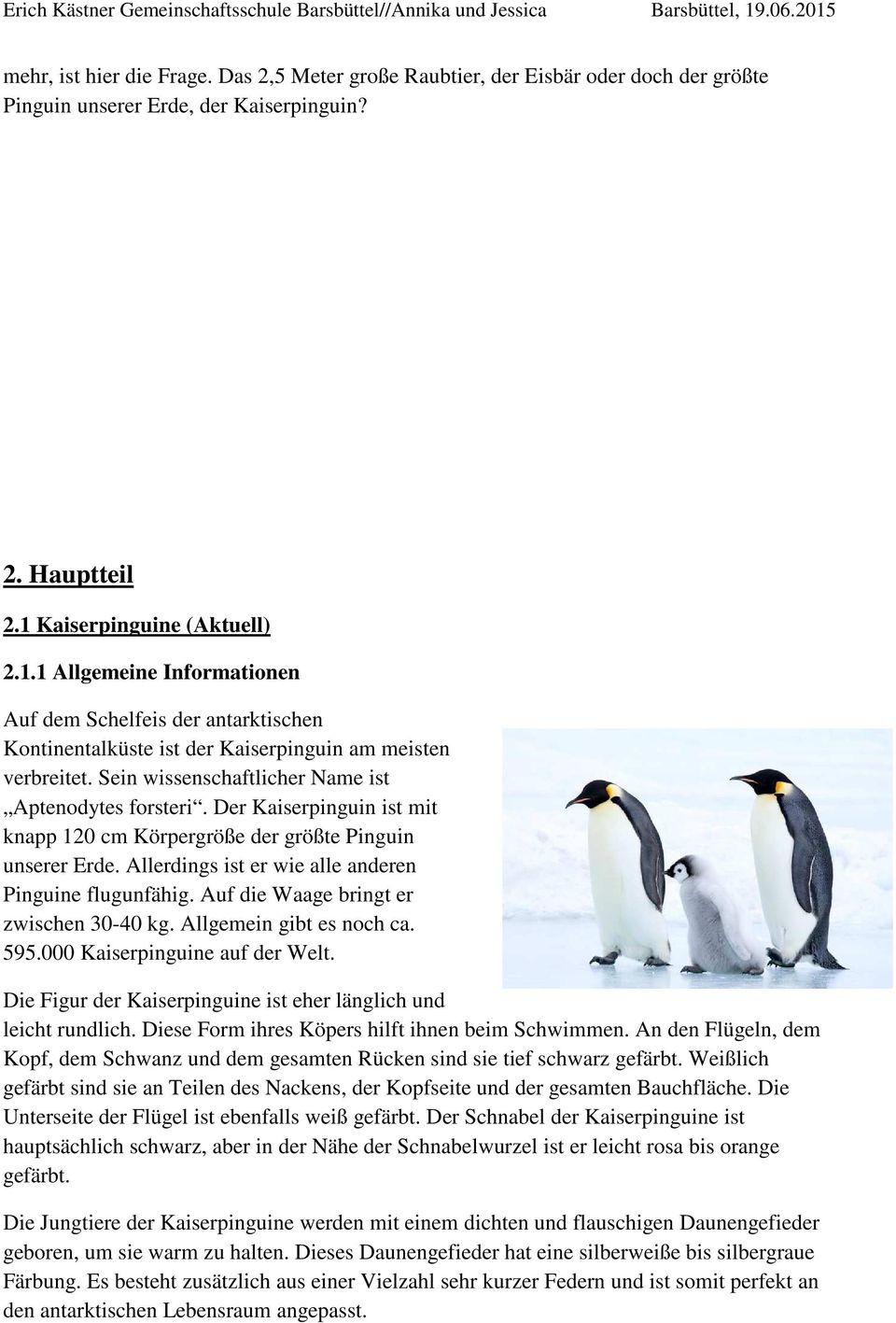 Sein wissenschaftlicher Name ist Aptenodytes forsteri. Der Kaiserpinguin ist mit knapp 120 cm Körpergröße der größte Pinguin unserer Erde. Allerdings ist er wie alle anderen Pinguine flugunfähig.