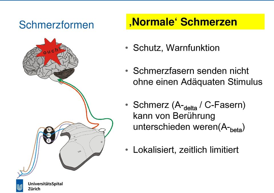 Stimulus Schmerz (A- delta / C-Fasern) kann von