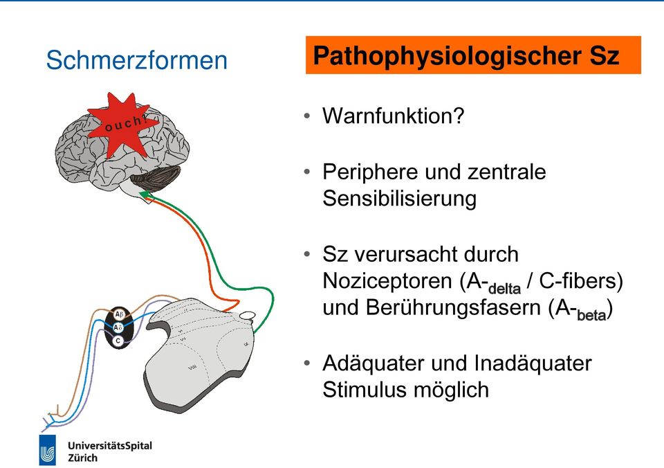 durch Noziceptoren (A- delta / C-fibers) und