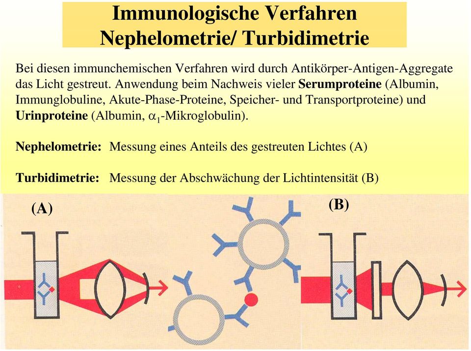 Anwendung beim Nachweis vieler Serumproteine (Albumin, Immunglobuline, Akute-Phase-Proteine, Speicher- und