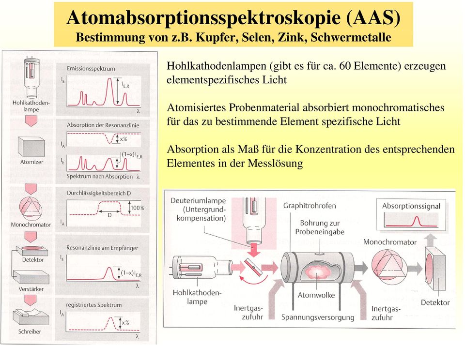 monochromatisches für das zu bestimmende Element spezifische Licht Absorption als Maß für