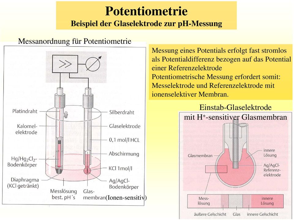 einer Referenzelektrode Potentiometrische Messung erfordert somit: Messelektrode und