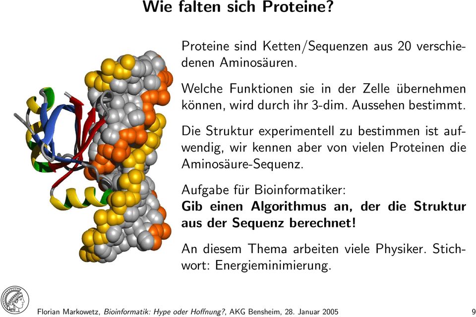 Die Struktur experimentell zu bestimmen ist aufwendig, wir kennen aber von vielen Proteinen die Aminosäure-Sequenz.