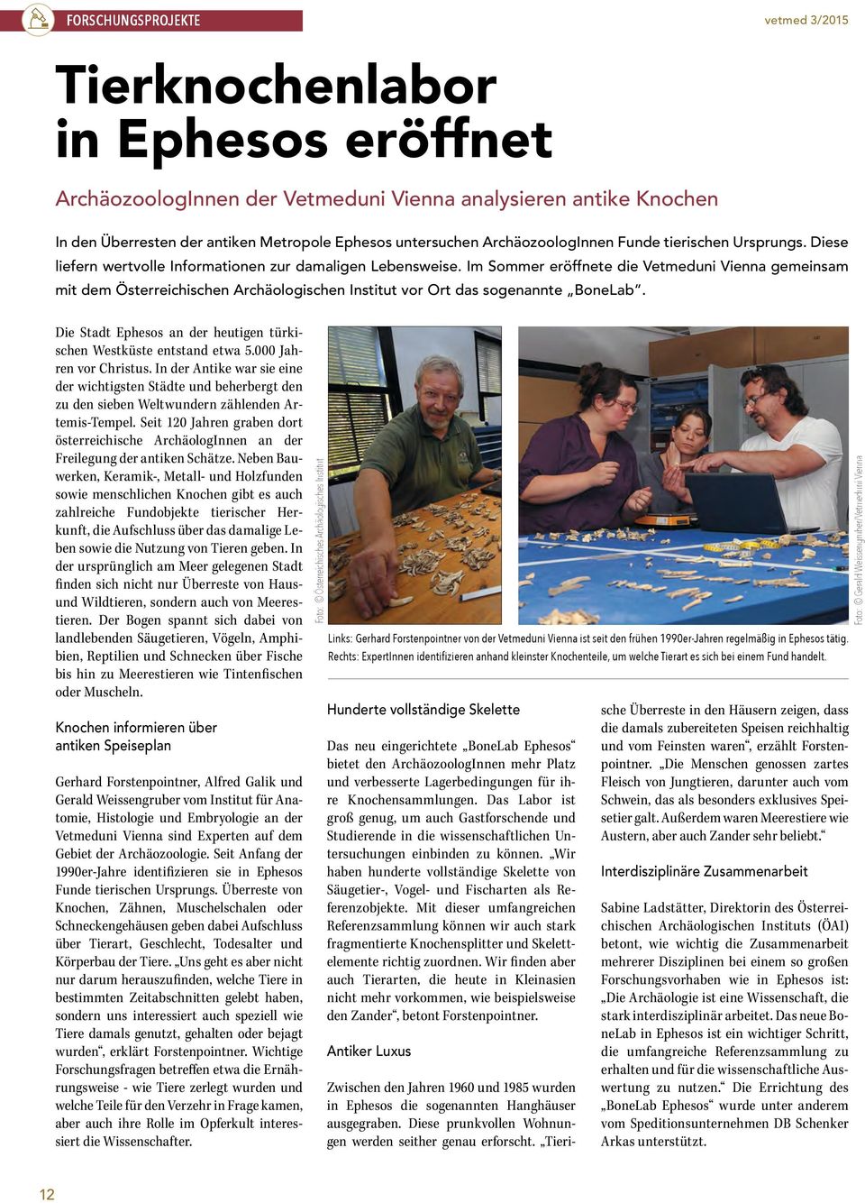 Im Sommer eröffnete die Vetmeduni Vienna gemeinsam mit dem Österreichischen Archäologischen Institut vor Ort das sogenannte BoneLab.