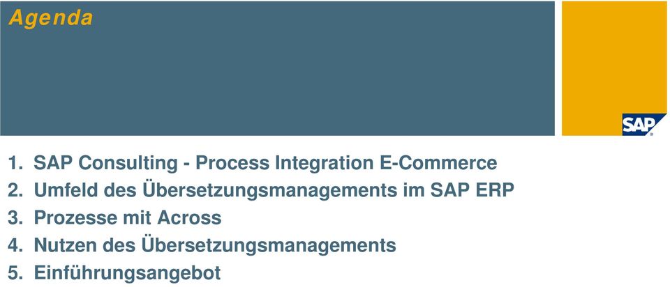 2. Umfeld des Übersetzungsmanagements im SAP