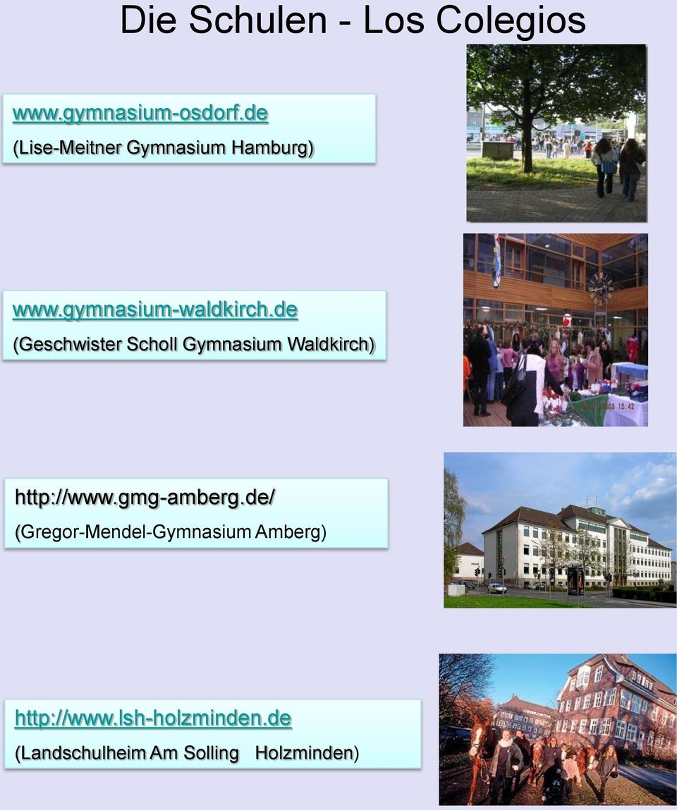 de (Geschwister Scholl Gymnasium Waldkirch) http://www.gmg-amberg.