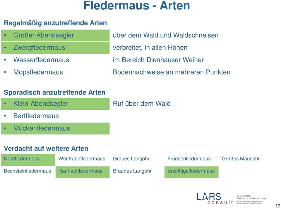 anzutreffende Arten Klein-Abendsegler Ruf über dem Wald Bartfledermaus Mückenfledermaus Verdacht auf weitere Arten Nordfledermaus