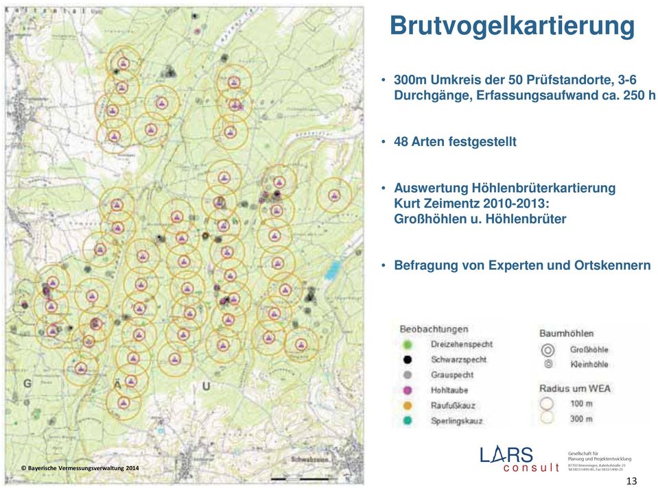 250 h 48 Arten festgestellt Auswertung Höhlenbrüterkartierung